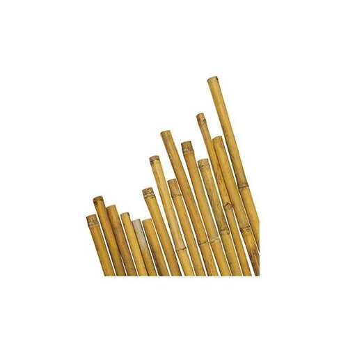  Bambus kolac 120 cm Slike