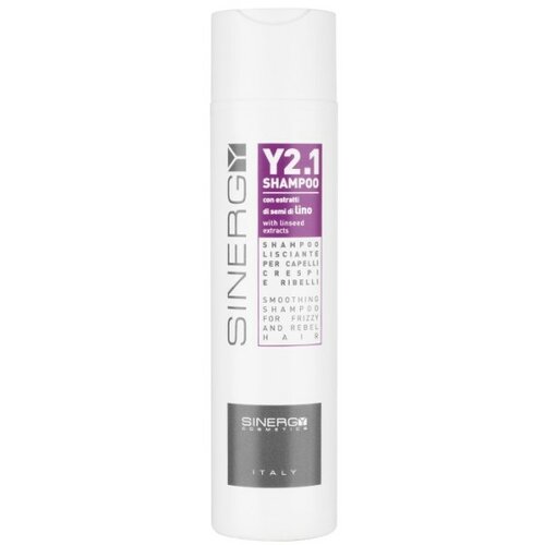 Sinergy Y2.1 šampon za lakše oblikovanje neposlušne kose 250 ml Cene