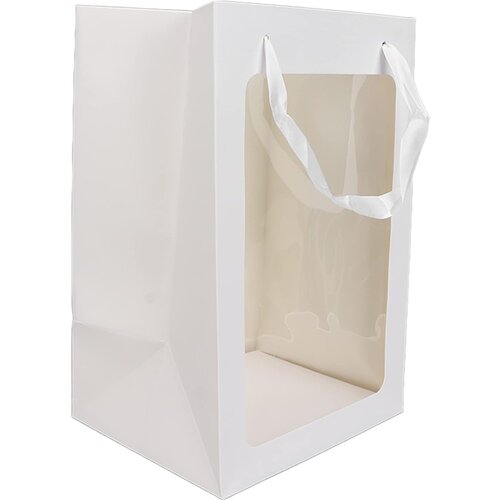  POKLON VREĆICA PROZIRNA 35X25X18 CM DP3451 Cijene