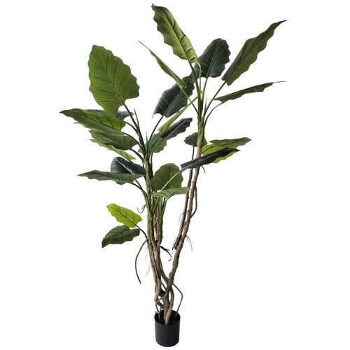 BIZZOTTO Umjetna biljka (visina 190 cm) Alocasia &ndash; Cijene