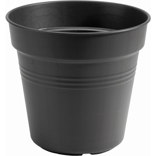 ELHO green basics lonec za gojenje "poživljajoče črna" - 24 cm Cene