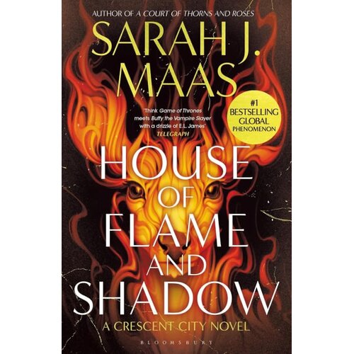 Hachette Sarah J. Maas - House of Flame and Shadow Cene