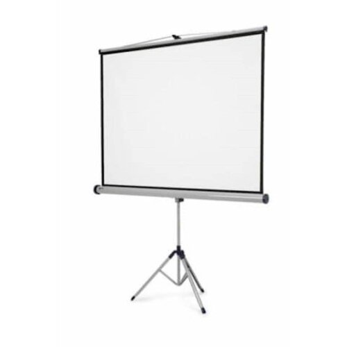 Epson Projekcijsko platno 200x200 prenosno Cene