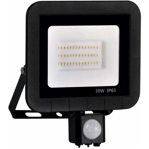  led reflektor sa senzorom LED/30W/230V IP65 Cene