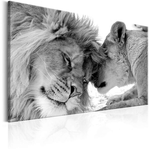  Slika - Lion's Love 120x80 Cene