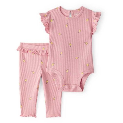 Carter's dvodelni komplet za bebe devojčice Cene