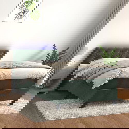  The Living Store Box spring postelja z vzmetnico LED tem. zelena 80x200 cm žamet - Box Spring Postelja, (21491015) Cene