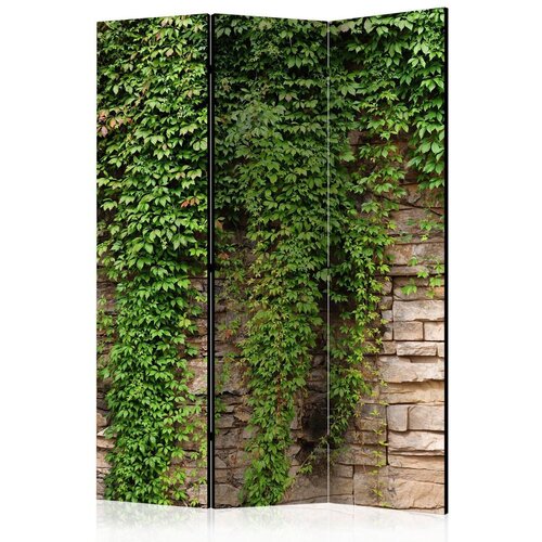 Artgeist Paravan - Ivy wall 135x172 Cene