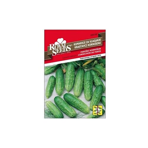  Krastavac Pari&scaron;ki Korni&scaron;on Royal Seeds Cijene