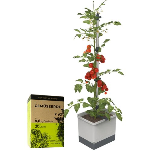 Gusta Garden TOM TOMATO z zemljo - svetlo siva Slike