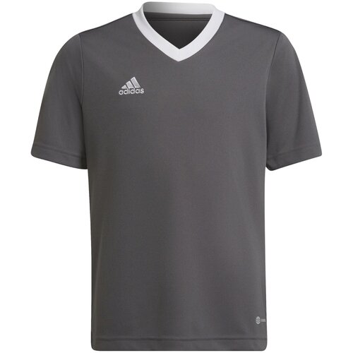 Adidas Tehnička sportska majica 'Entrada 22' grafit siva / bijela Cijene