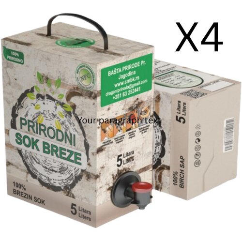 Ba&amp;scaron;ta prirode Prirodni brezin sok, 4 x 5l Slike