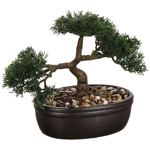 XXXL Okrasna Rastlina Bonsai Cene