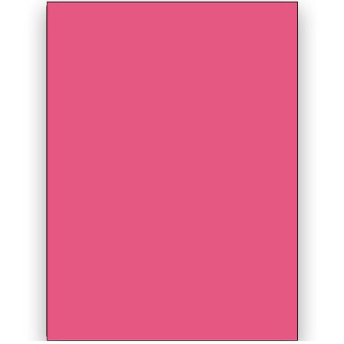 INF Samolepilni obliži za popravilo, 10 kosov Rose red, (21536311) Cene