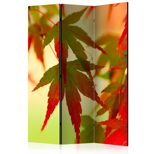  Paravan u 3 dijela - Colourful leaves [Room Dividers] 135x172 Slike