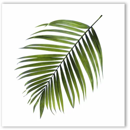 Styler Slika Canvas Greenery Black Palm, 32 x 32 cm