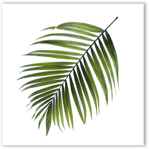 Styler Slika Canvas Greenery Black Palm, 32 x 32 cm Slike