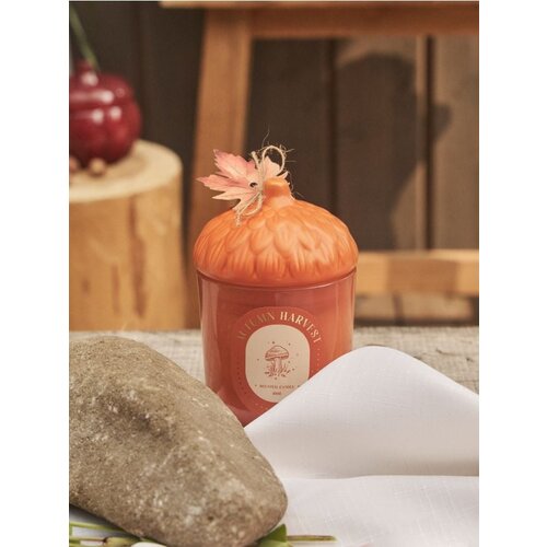 Sinsay Svijeća Autumn Harvest Cijene