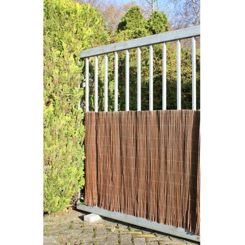 Garden Pleasure Balkonski paravan od pruća u prirodnoj boji 300x100 cm - Cijene