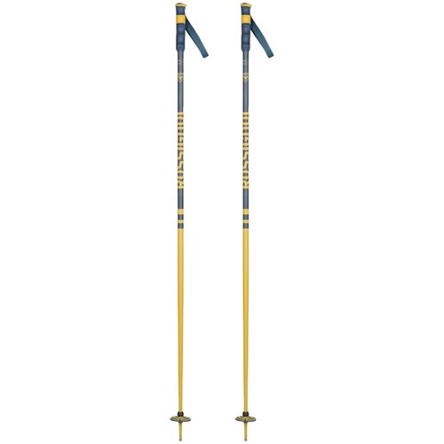 Rossignol Ski &amp;scaron;tapovi Stove Hero Grip Teal/Mustard - 120cm Slike