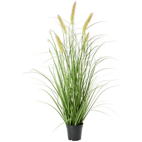 Modern Living Umetna Rastlina Penisetum Ii Cene