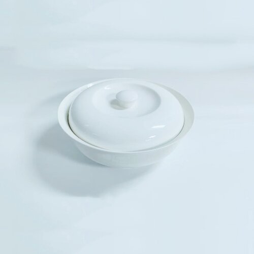  Cinija sa poklopcem 240425 Cene