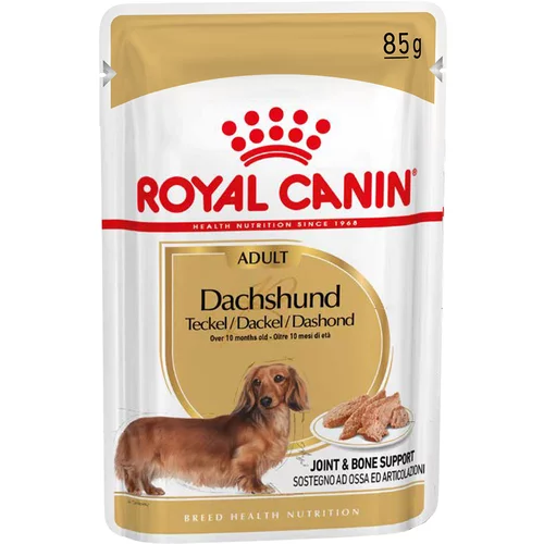 Royal Canin Breed Dachshund Adult - Kot dopolnilo: 24 x 85 g Breed Dachshund mokra hrana