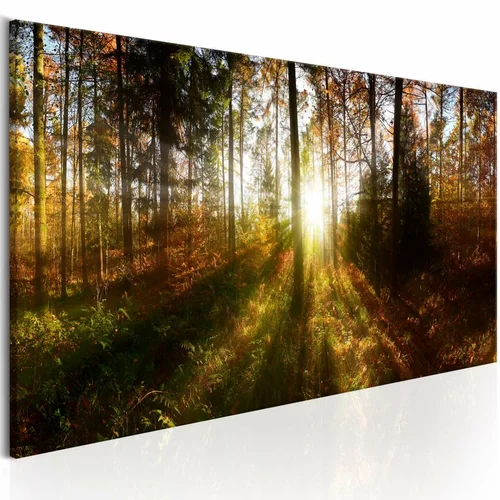  Slika - Beautiful Forest 150x50