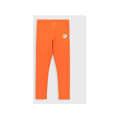 Coccodrillo Pajkice ZC2122101ADK Oranžna Slim Fit Slike