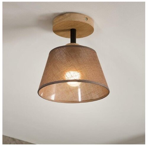  Plafonski luster ANTONIO 1xE14/40W/230V braon Cene