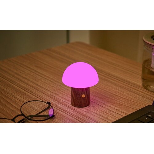 Gingko LED namizna svetilka v beli in temni naravni barvi (vi&amp;scaron;ina 7 cm) Alice Mushroom &amp;ndash; Slike