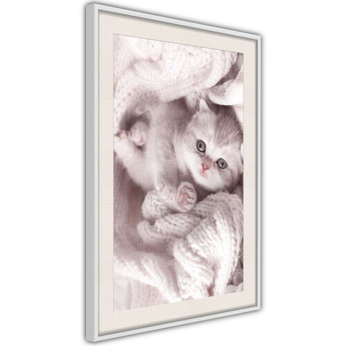  Poster - Tangled in Sweater 40x60 Slike