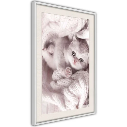  Poster - Tangled in Sweater 40x60
