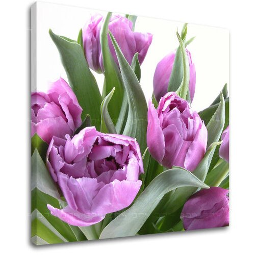  Slike na platnu cveće  (moderne slike na platnu) Cene