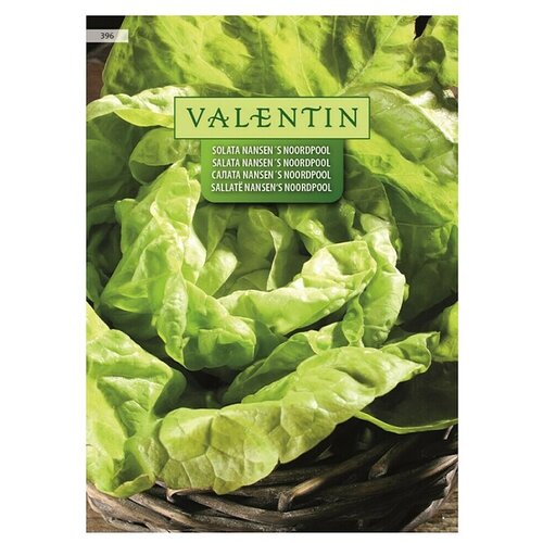 VALENTIN Sjeme povrća Salata Nansen's Noordpool (Lactuca sativa var. capitata, Berba: Veljača) Cijene