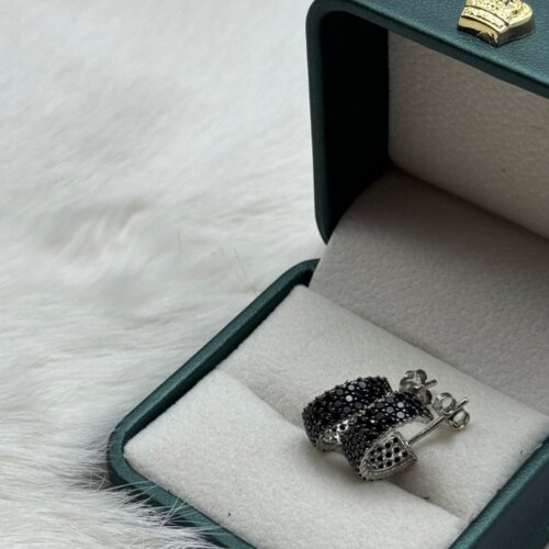  Srebrene naušnice Cijene