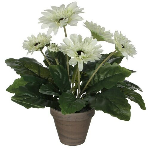 Edelmann Umjetna biljka Gerbera (Visina: 35 cm, Bijele boje, Plastika) Cijene