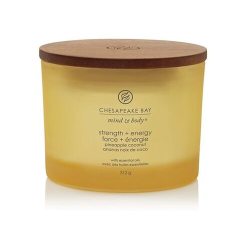 Chesapeake Bay Candle Mind &amp;amp; Body Strength &amp;amp; Energy di&amp;scaron;eča sveča I. 312 g Slike