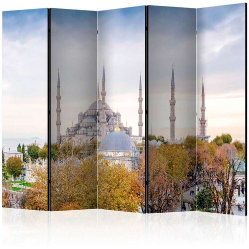  Paravan u 5 dijelova - Hagia Sophia - Istanbul II [Room Dividers] 225x172 Cijene