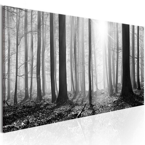  Slika - Black and White Forest 120x40 Slike