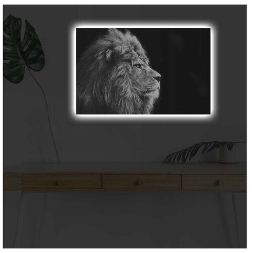 Wallity Slika na platnu sa LED osvetljenjem 45x70cm Cene