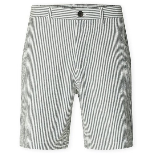 Selected Regular Shorts Karl - Sky Captain/Egret Smeđa Cijene