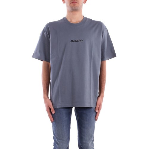 Dickies DK0A4YRN Siva Slike
