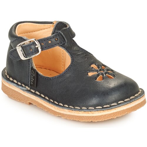 Aster BIMBO Blue Cijene