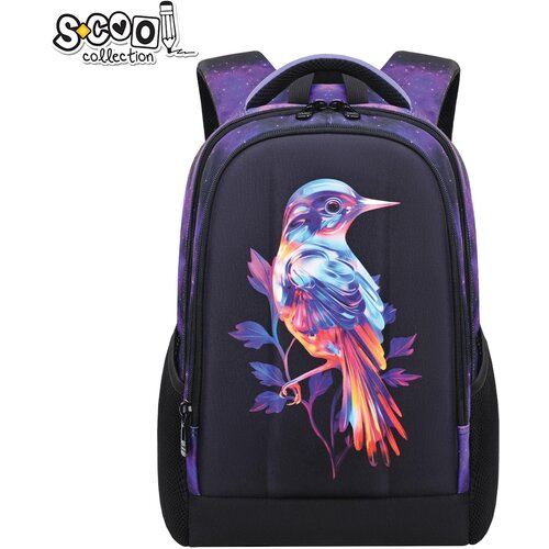 Scool Ranac ojačana leđa sa čvrstim prednjim đžepom Bird 40*29*14cm SC2951 Slike