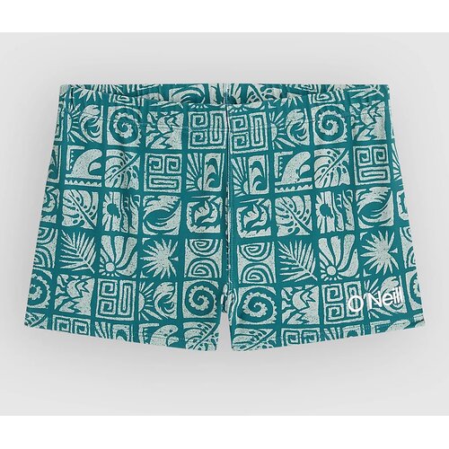 O&amp;#039;neill Print Racer Kids Boardshorts blue bricks Slike