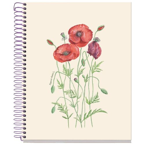 MiquelRius Kolegij blok A5 90g 80L spiralni crte Entredos Papaver Rhoedas MR4506 Slike