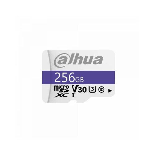 Dahua TF-C100/256GB Slike