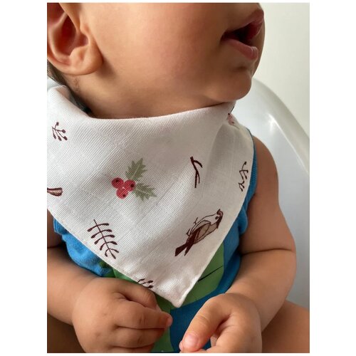 Dewberry 07446 12 Pcs Baby Drool Bib- Scarf with Snap Button-MULTICOLOR Cene