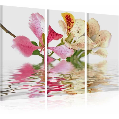  Slika - Orchid with colorful spots 120x80